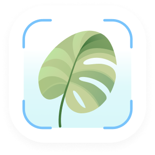Plantful Logo